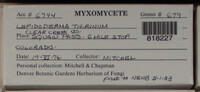 Image Associated With the Occurence